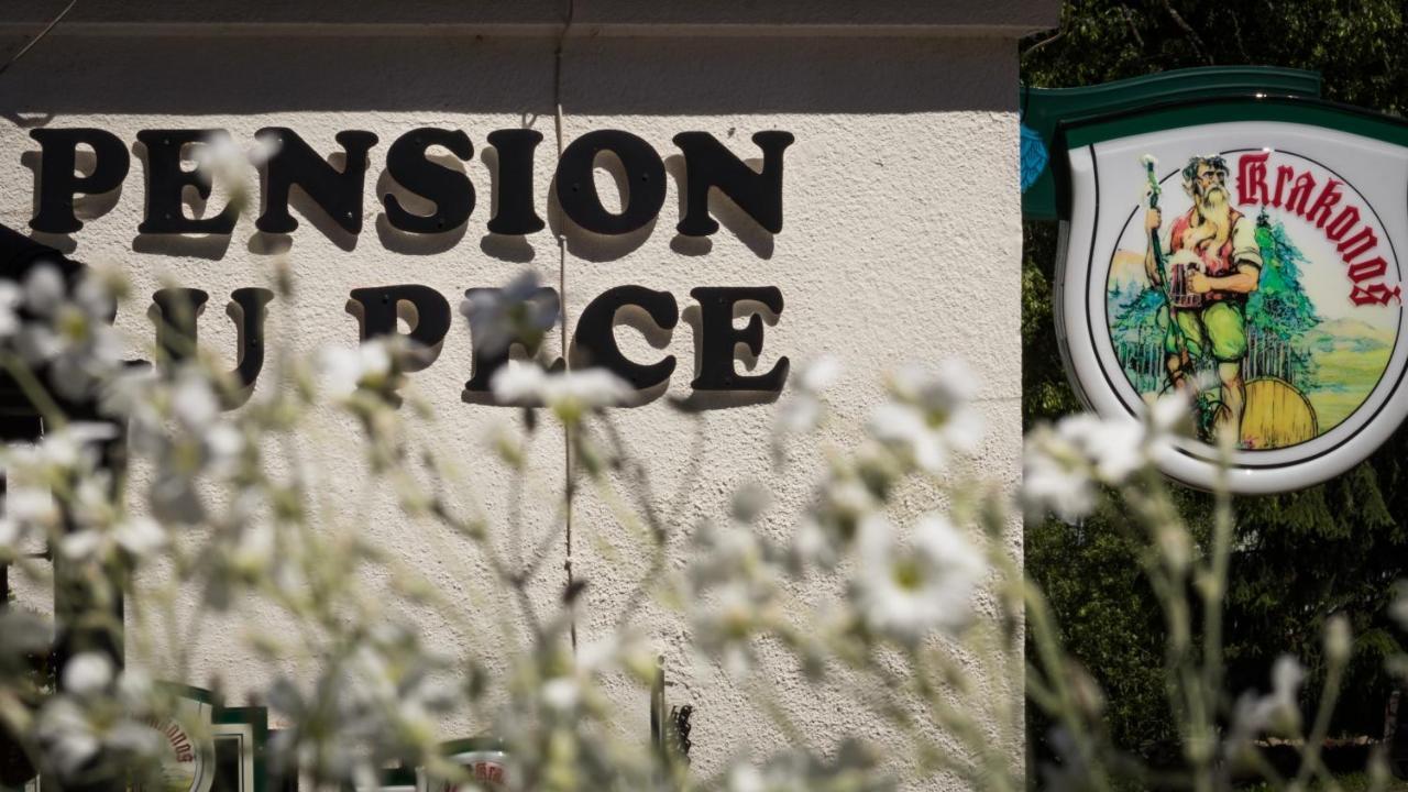 Pension U Pece Pec pod Snezkou Luaran gambar